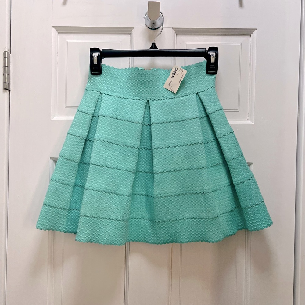 Honey Punch Flare Skirt